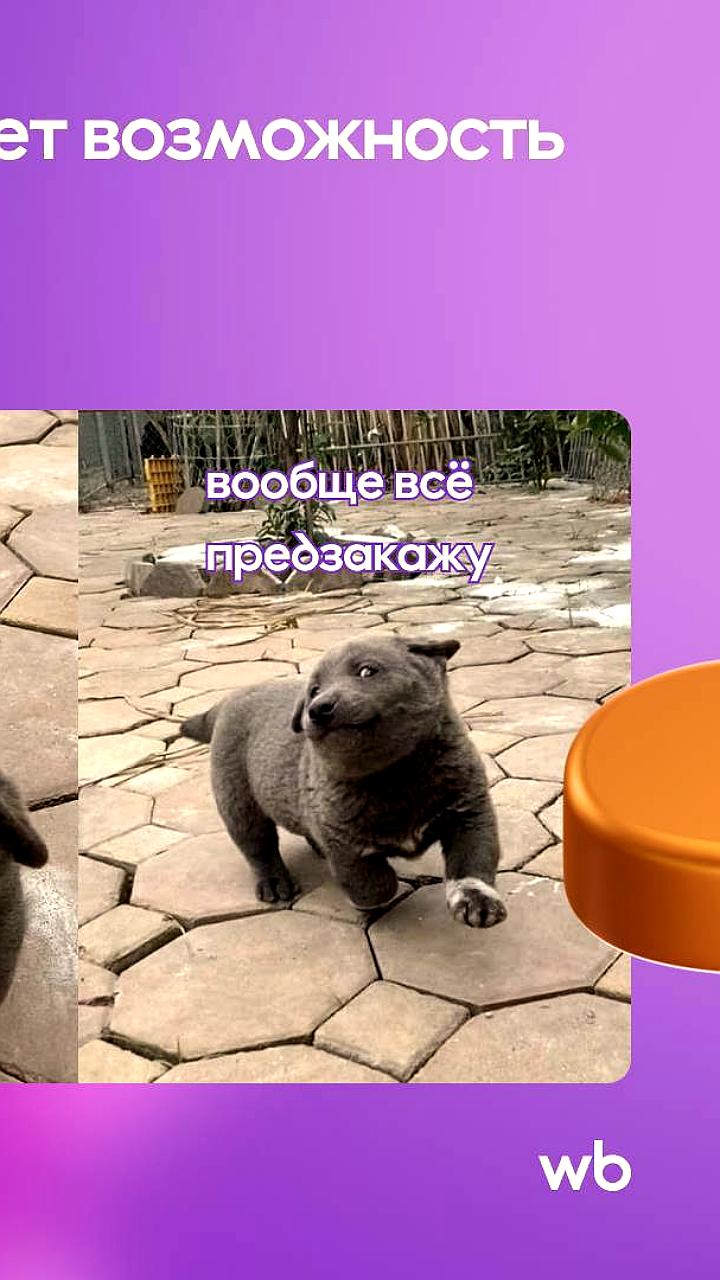 Wildberries запускает предзаказ популярных товаров, включая iPhone 17
