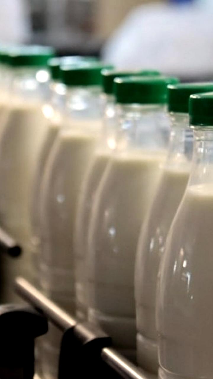 Омские власти предупреждают о небезопасной молочной продукции от ООО Вега