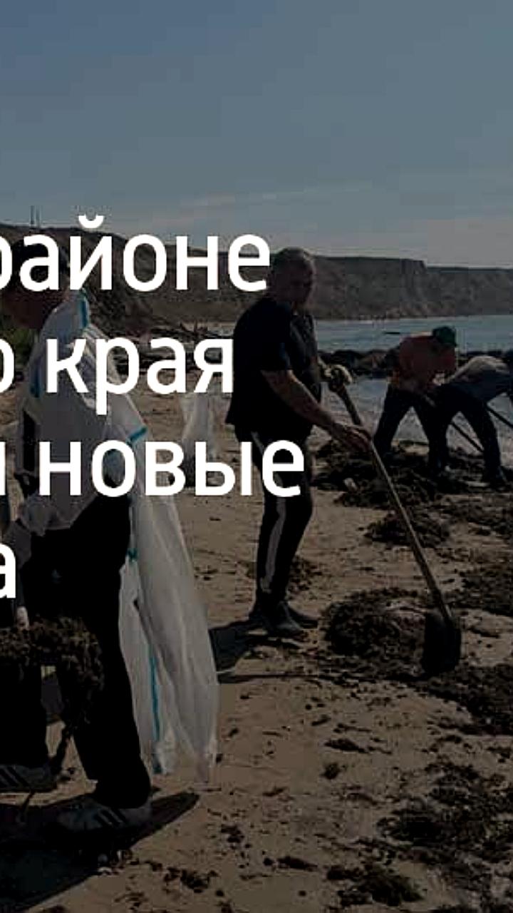 В Темрюкском районе продолжаются работы по ликвидации выбросов мазута