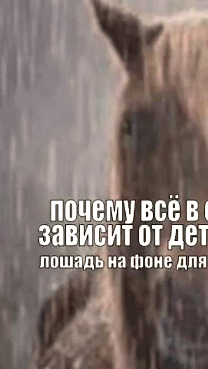 Бесплатные встречи с психологами в парках Казани в сентябре