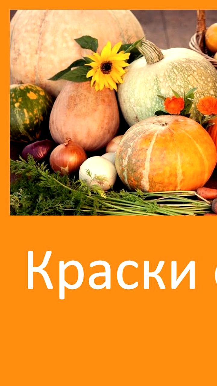 Ярмарка 'Дары осени' и 'Краски осени' стартуют в выходные