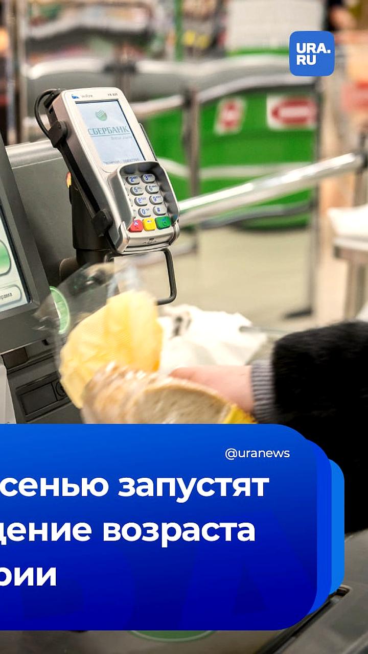 В России осенью 2025 года стартует биометрическая проверка возраста на кассах самообслуживания