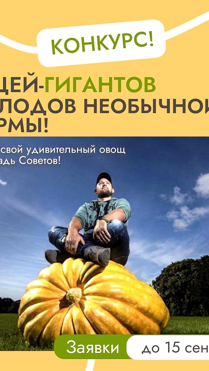 Конкурс-выставка 'Дары осени' в Омске и культурные события осени в Кирове