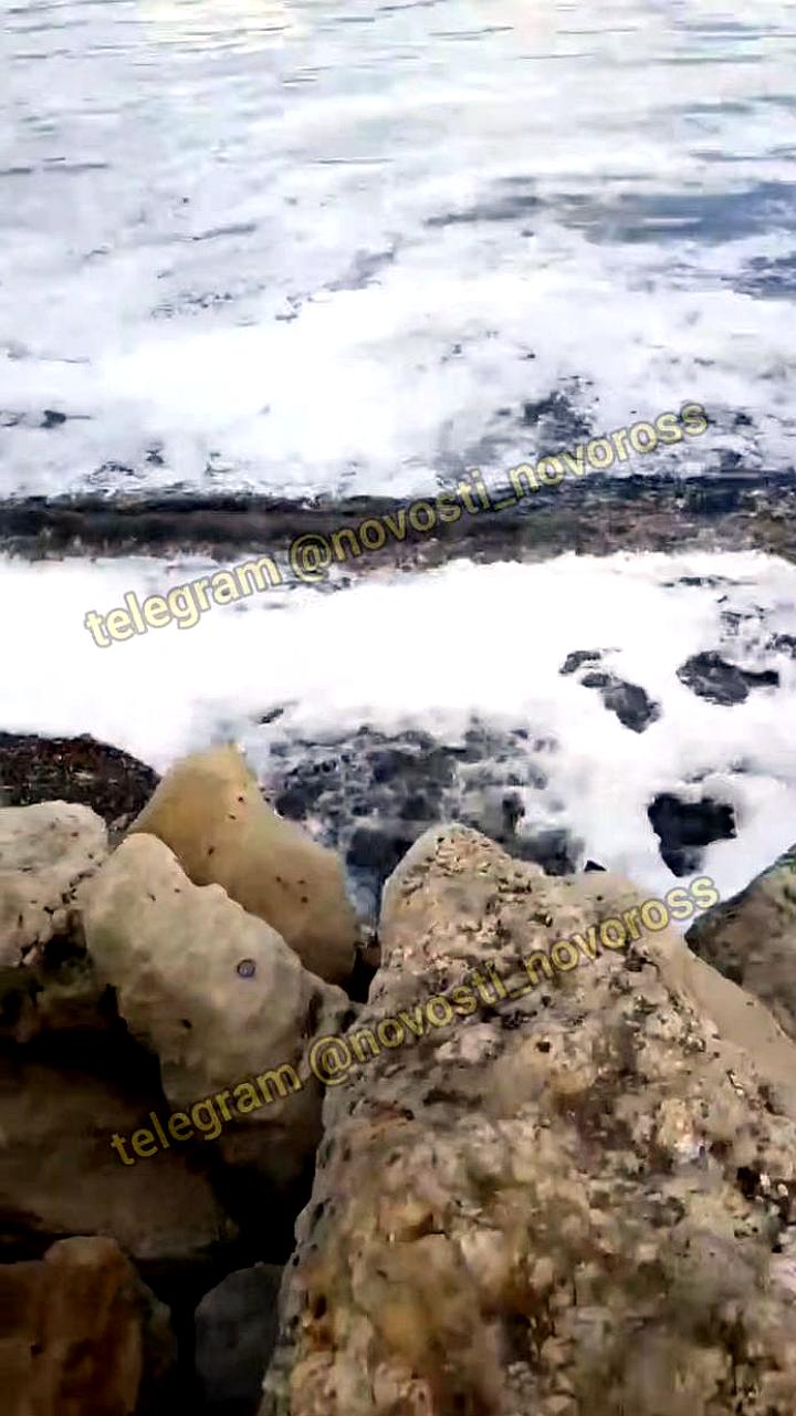 Суд обязывает Махачкалу устранить сброс сточных вод в Каспийское море