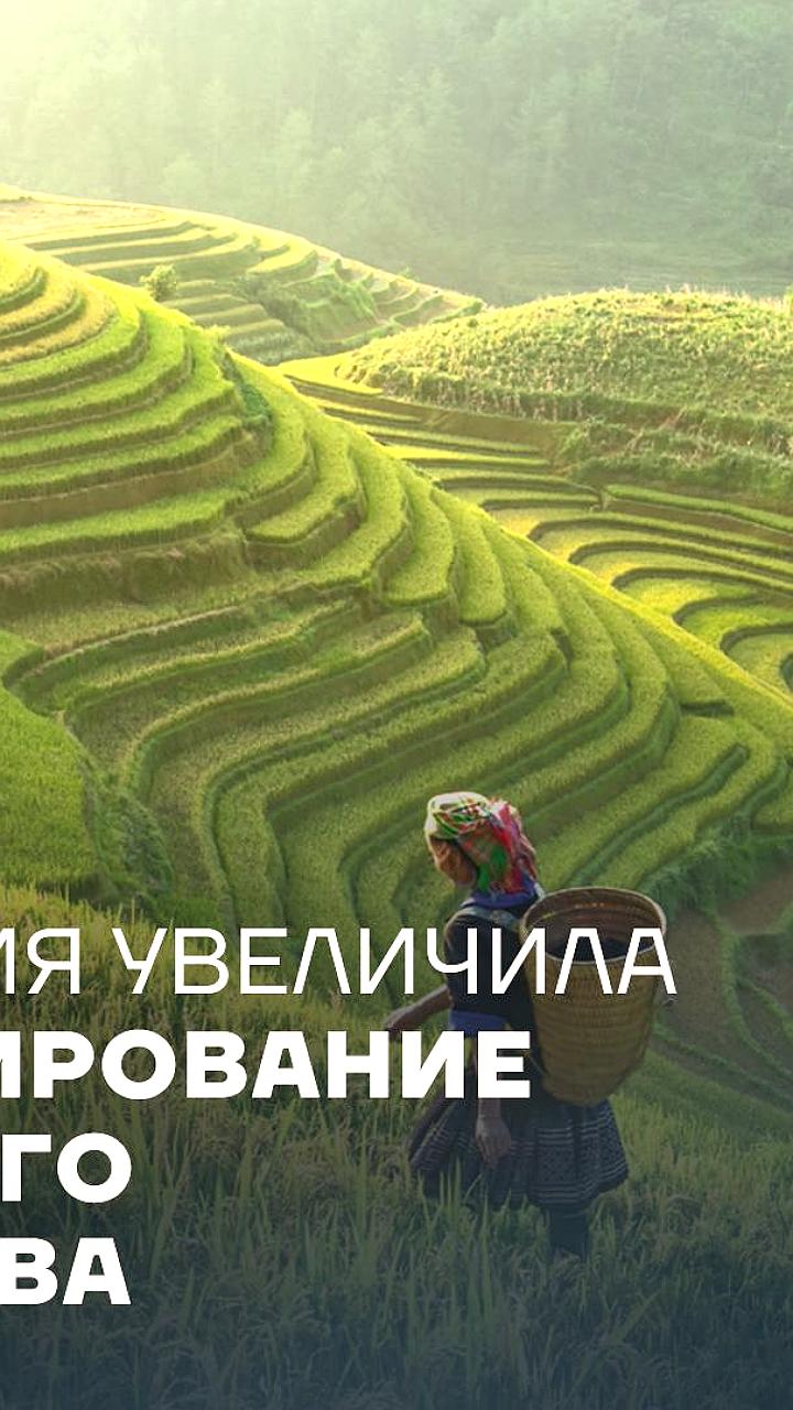 Египет и Индонезия увеличивают инвестиции в сельское хозяйство