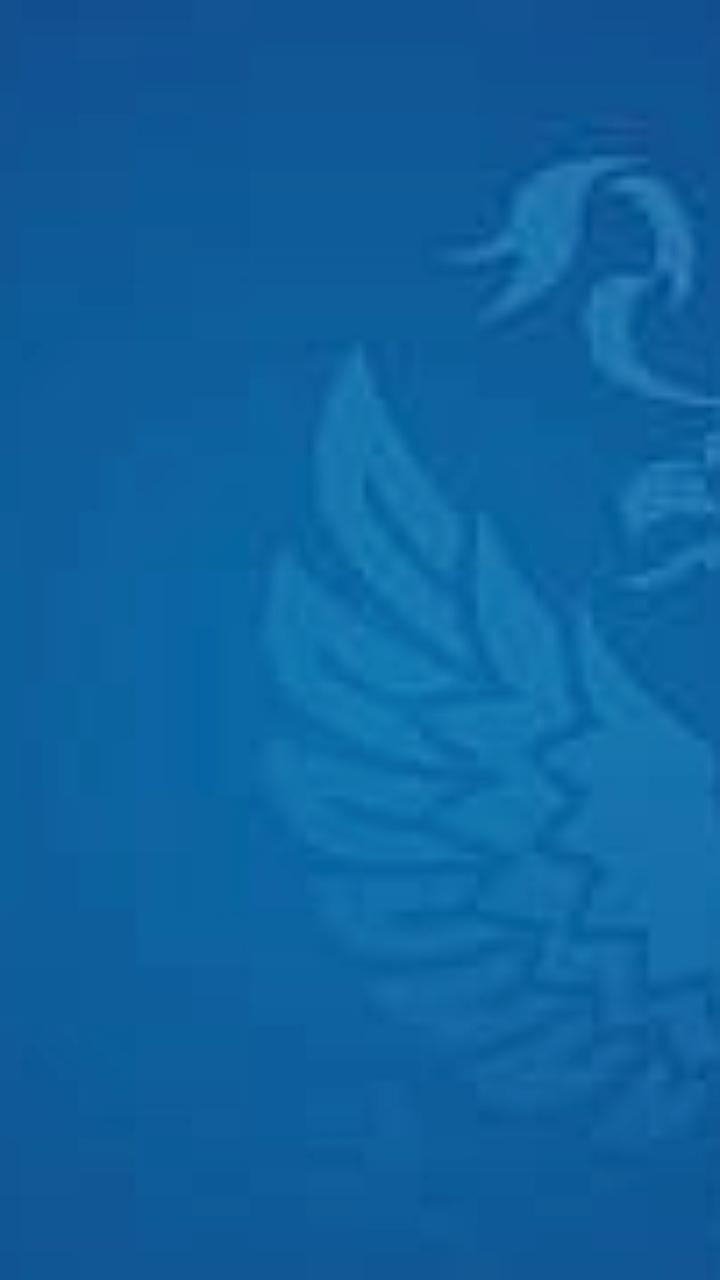 Правительство РФ утвердит предельное количество платных мест в вузах на 2026-2027 учебный год