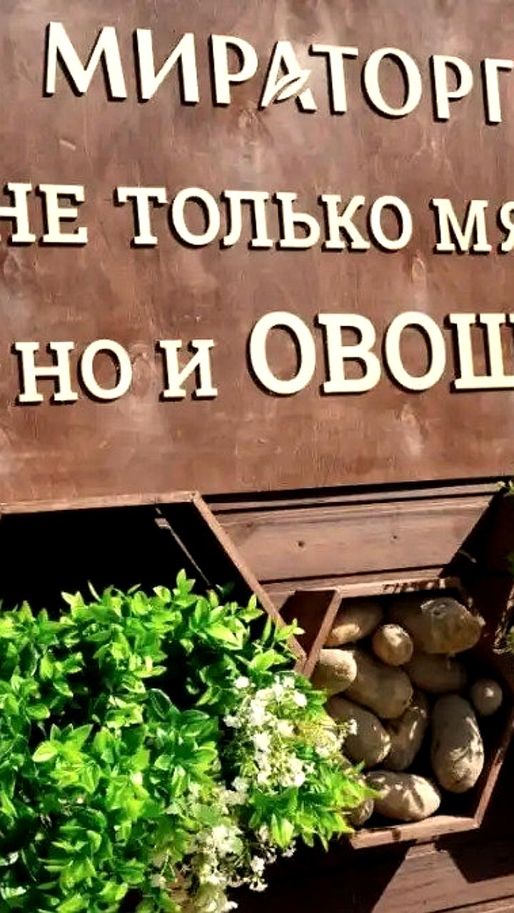 Мираторг запускает новый комплекс по выращиванию картофеля в Брянской области