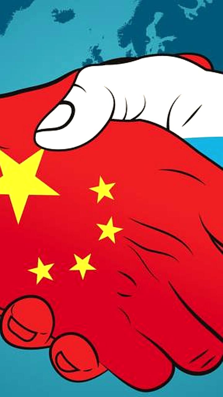 Си Цзиньпин подчеркивает важность гуманитарных обменов в отношениях с Россией