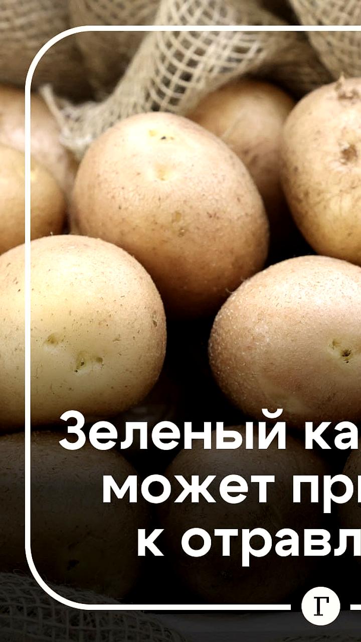 Опасность зеленого картофеля: эксперты предупреждают о токсичном соланине