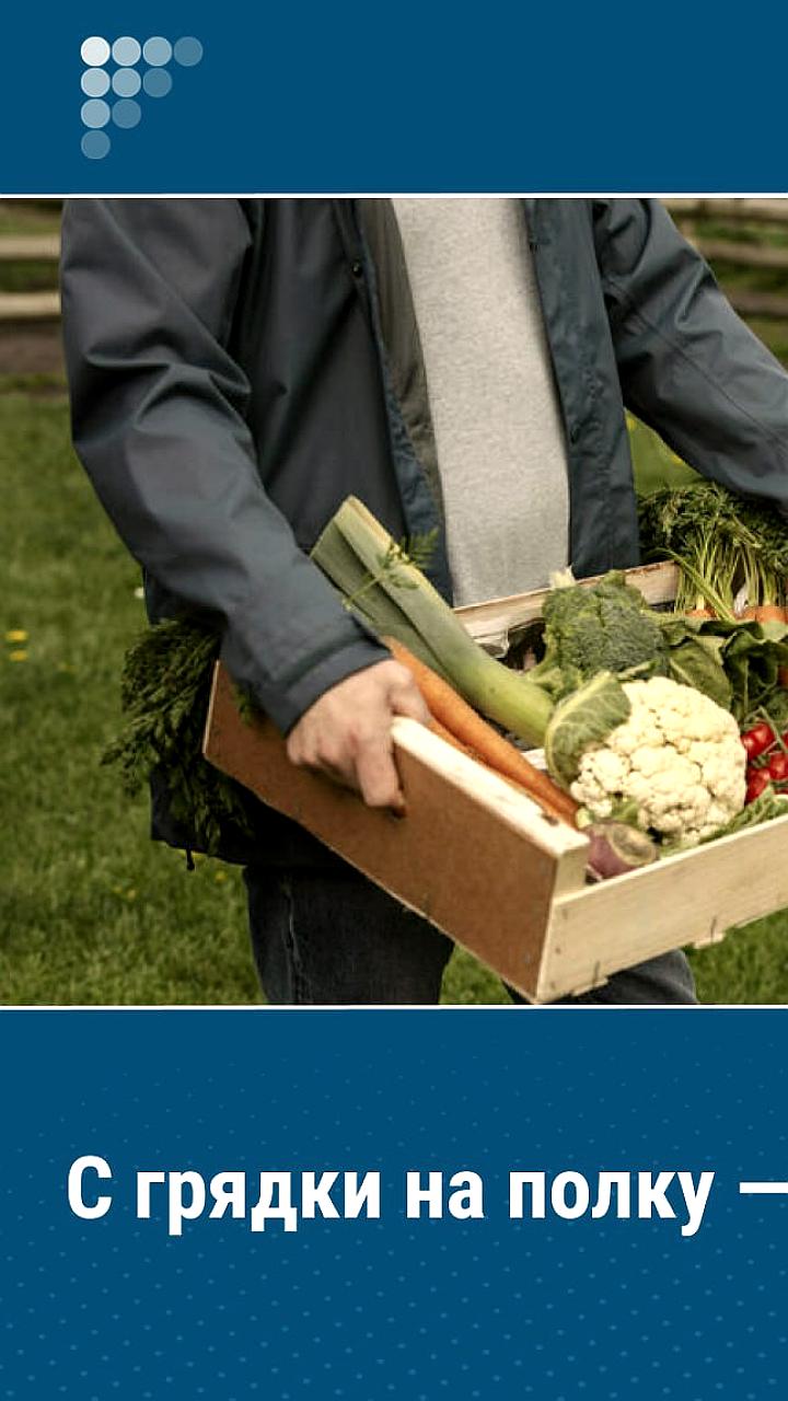Новый ГОСТ для фермерской продукции: необходимость и мнения
