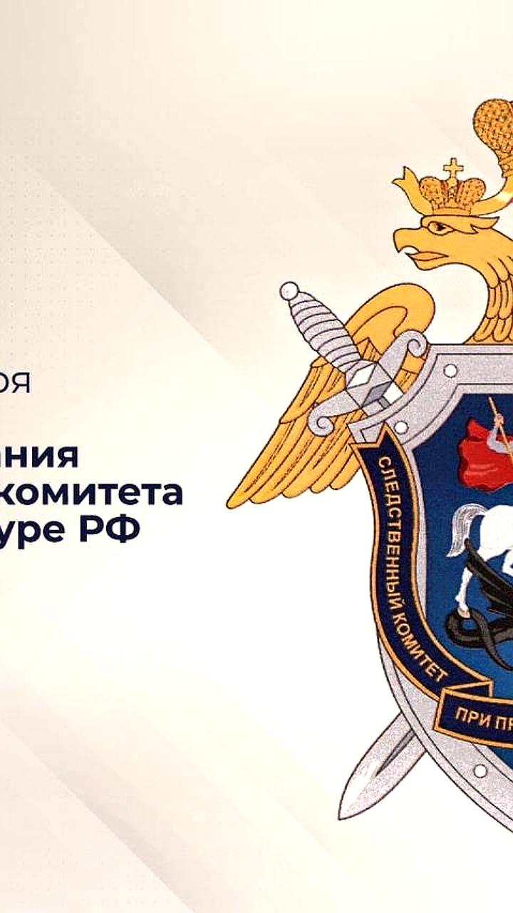 18 лет работы Следственного комитета России: достижения и реформы