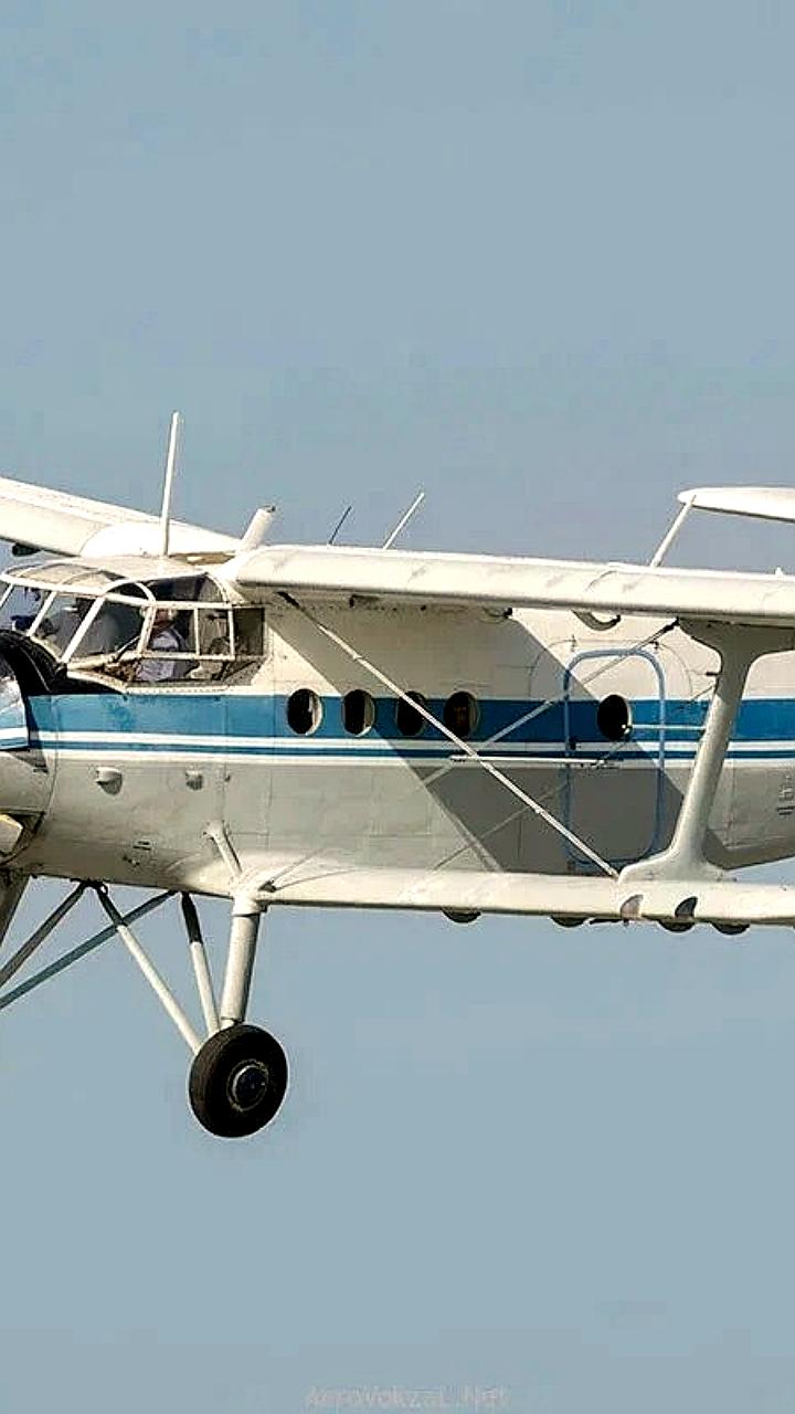 Разбился самолет Ан-2 в Ростовской области, пилот погиб