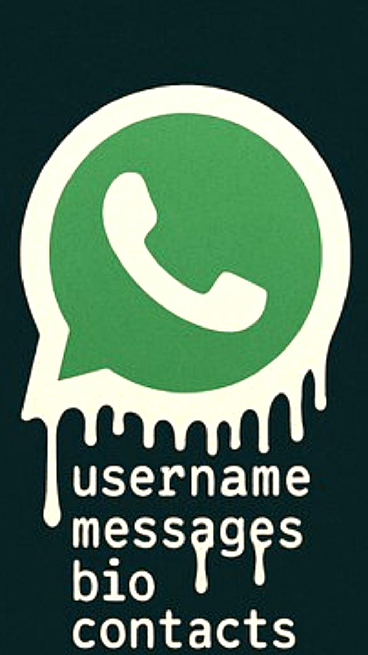 Бывший глава безопасности WhatsApp Аттаулла Байг подал в суд на Meta из-за нарушений кибербезопасности