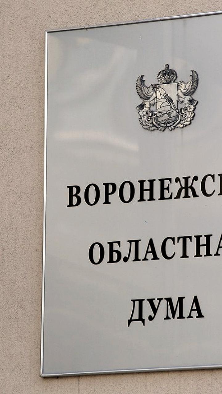 Анализ доходов кандидатов в депутаты: кто заработал больше на выборах в Воронежской и Курганской областях