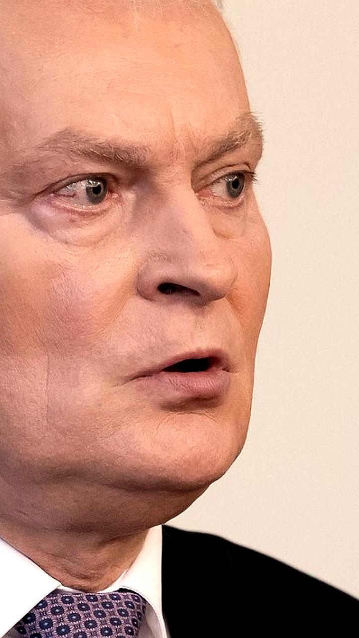Президент Литвы утвердил новый Кабмин, но отложил назначение министров окружающей среды и энергетики