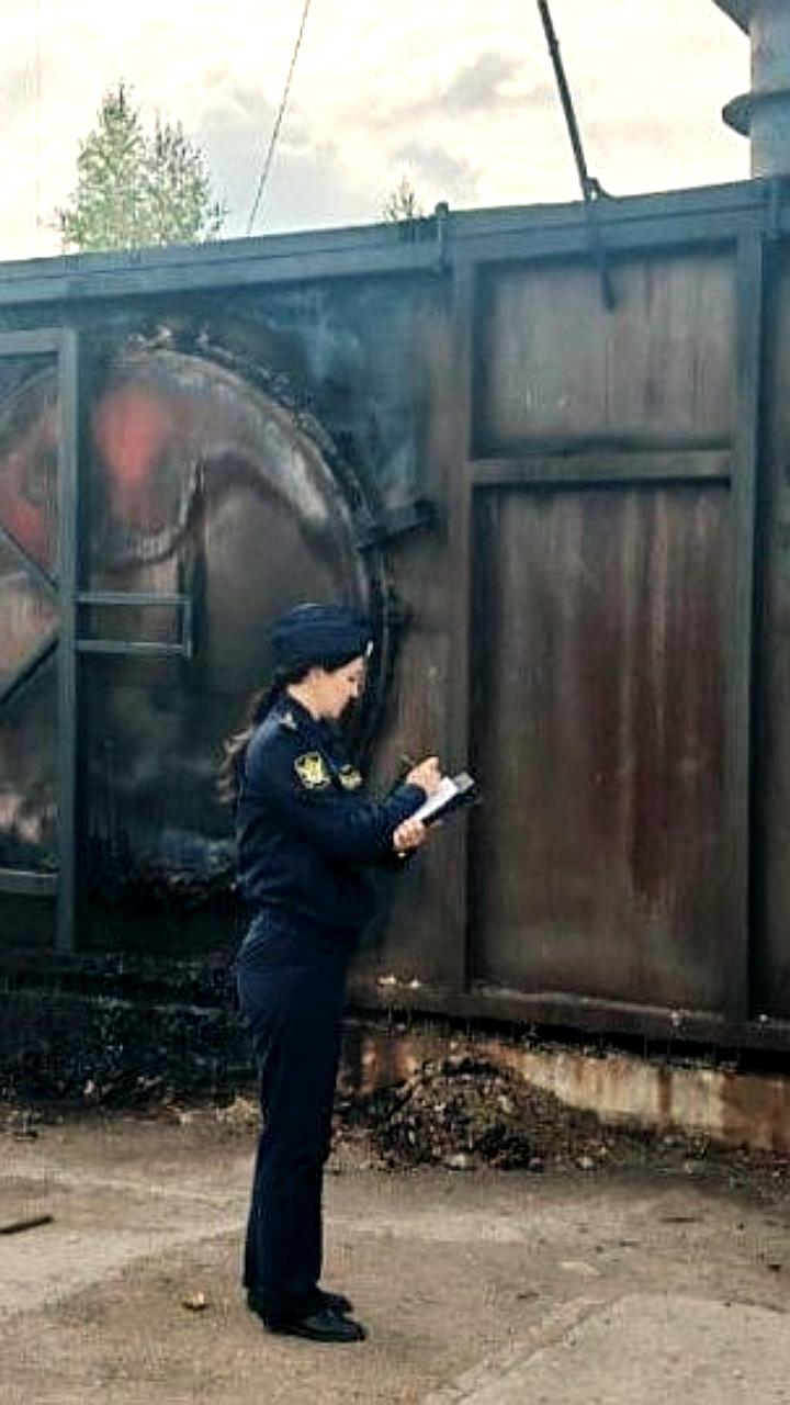 Прокуратура выявила нарушения в охране природы и экологии в Тепло Огаревском районе и городе Буй