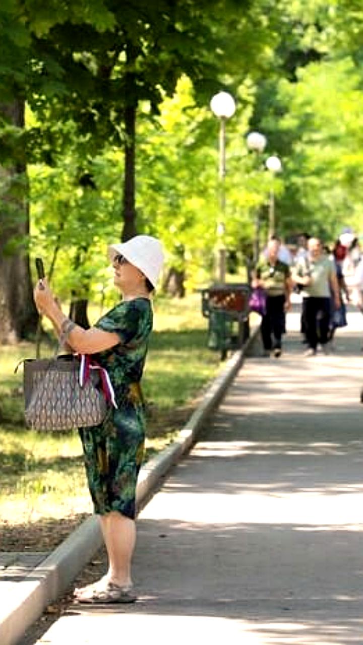 Модернизация Ленинградского зоопарка и планы по созданию нового зоопарка в парке Горького