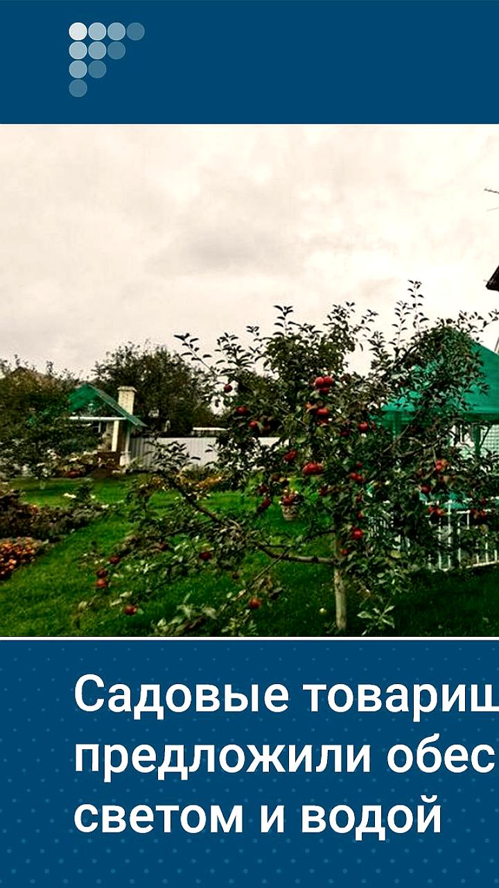 ЛДПР предлагает установить твердые цены на дизель и улучшить коммунальные услуги для садоводов