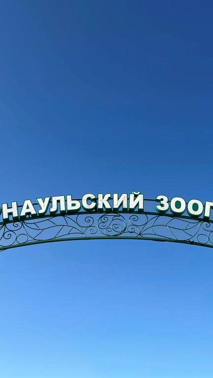 Барнаульский зоопарк предлагает бесплатный вход для пенсионеров