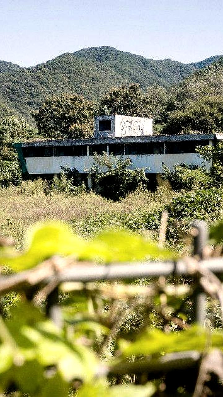 Более 100 южнокорейских женщин подали иск против армии США за принудительную проституцию