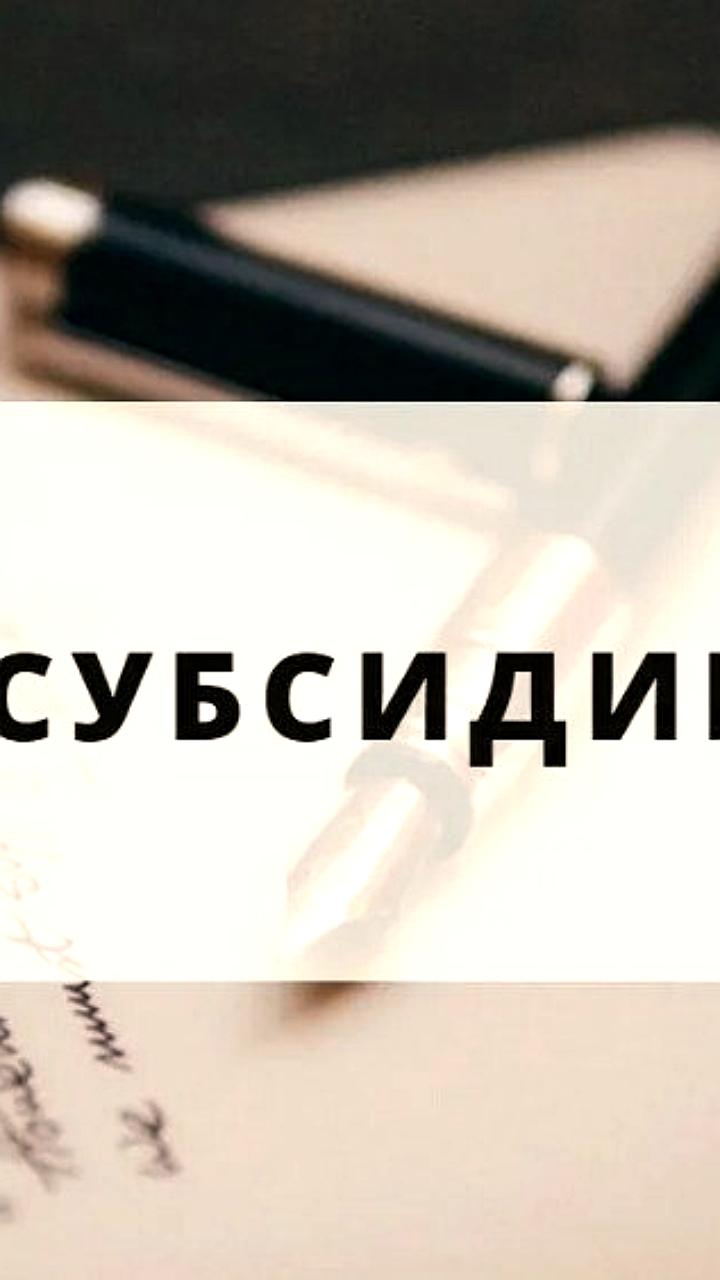 Начало отбора субсидий для сельхозпроизводителей на агротехнологические работы и страхование
