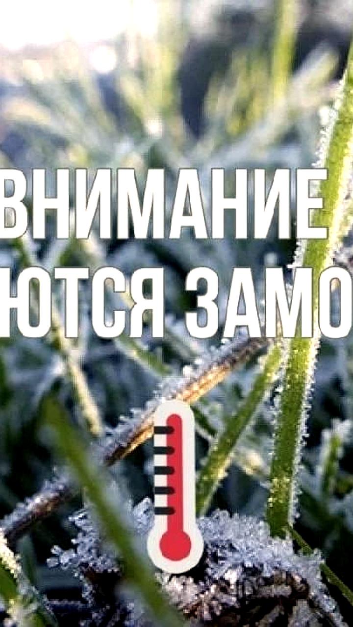 В Ульяновской области ожидаются заморозки с 13 по 15 сентября