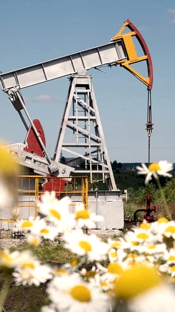 Российские компании снижают интерес к ESG в условиях экономических изменений