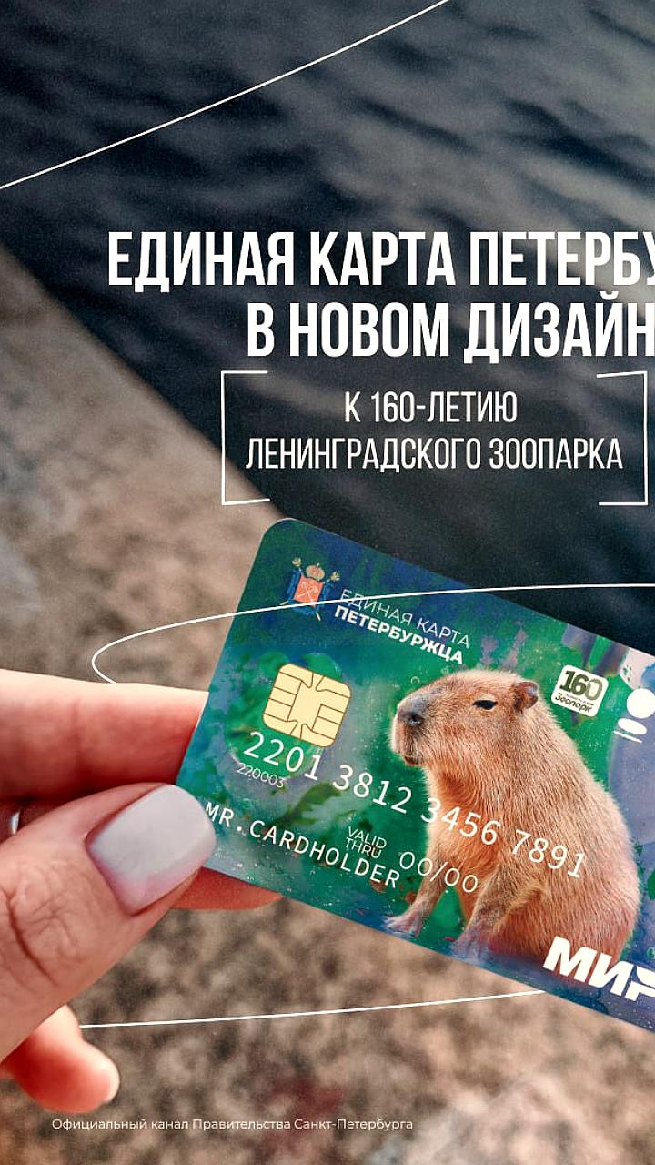 Выпуск лимитированной карты в честь 160-летия Ленинградского зоопарка с изображением капибары Кайсы