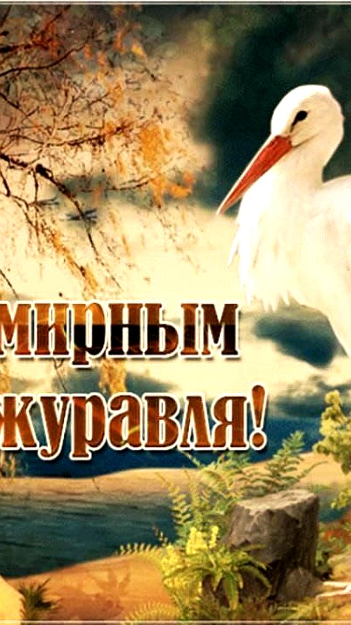 В Большереченском зоопарке и Якутии отмечают Всемирный день журавля с акцентом на охрану видов