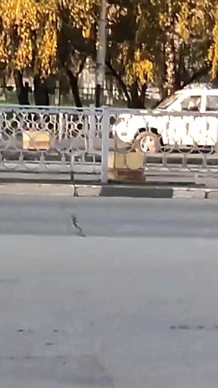 Закрытие блошиного рынка на Уралмаше вызывает обсуждения