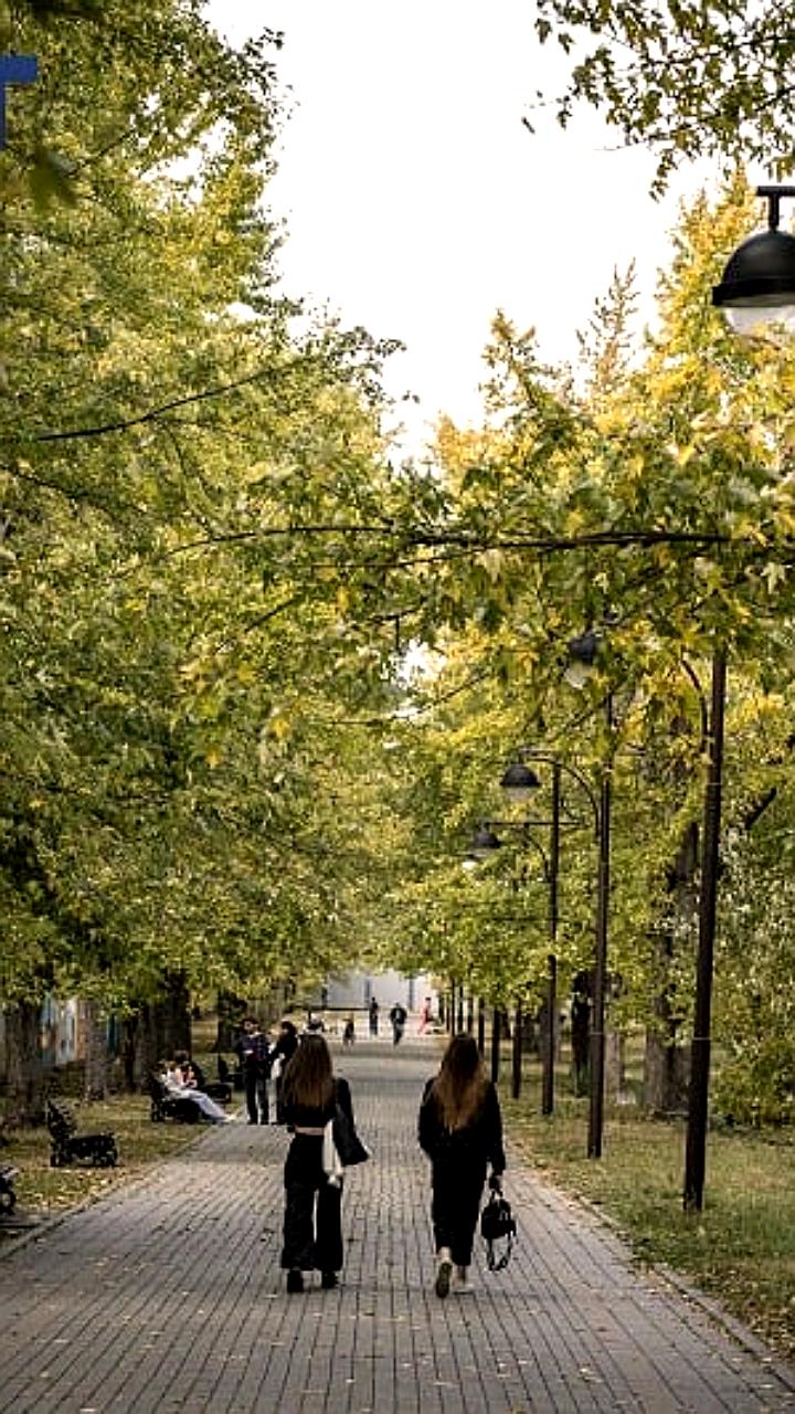 Ботанический сад в Краснодаре закрыт из-за сильного ветра