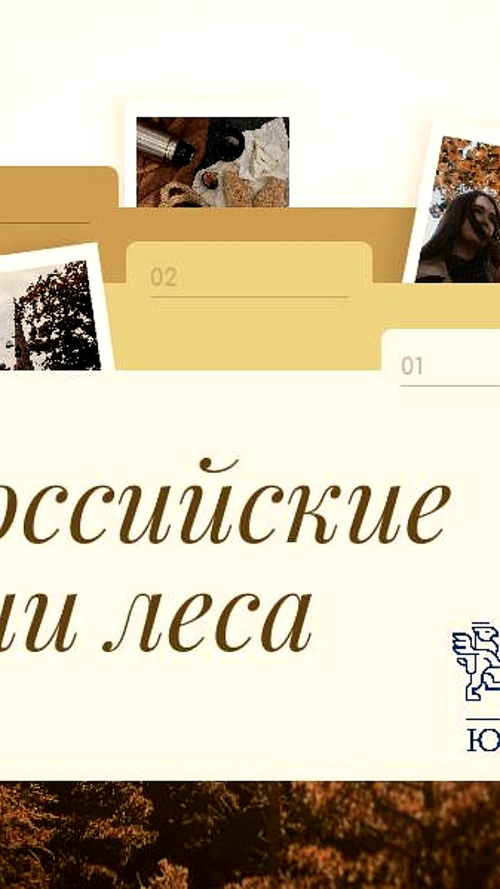 В России стартуют Российские дни леса: акцент на охрану и восстановление лесов