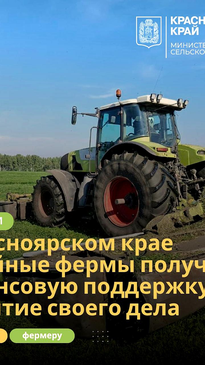 Семейные фермы Красноярского края получат более 70 млн рублей на развитие