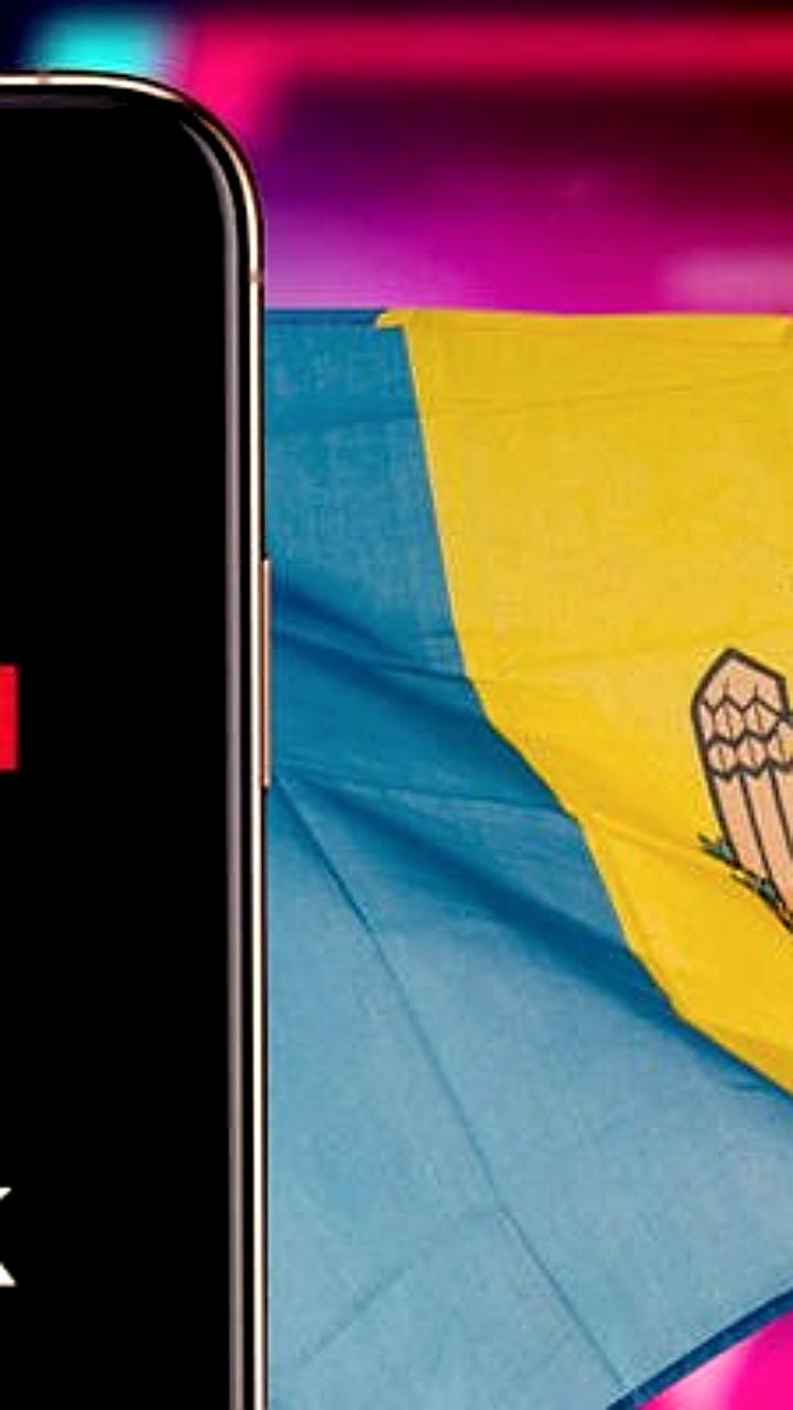 TikTok принимает меры против дезинформации перед выборами в Молдове