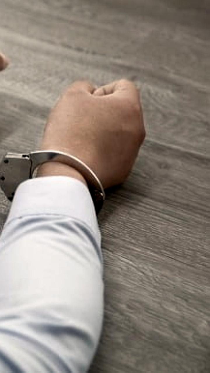 Задержание экс-главы ФКР Подмосковья Валерия Николова в аэропорту