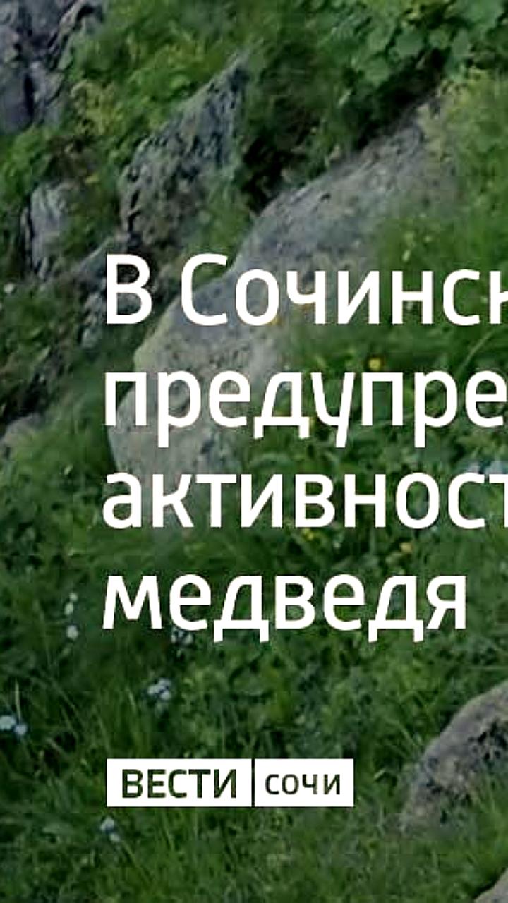 Медведи приближаются к населенным пунктам в поисках пищи