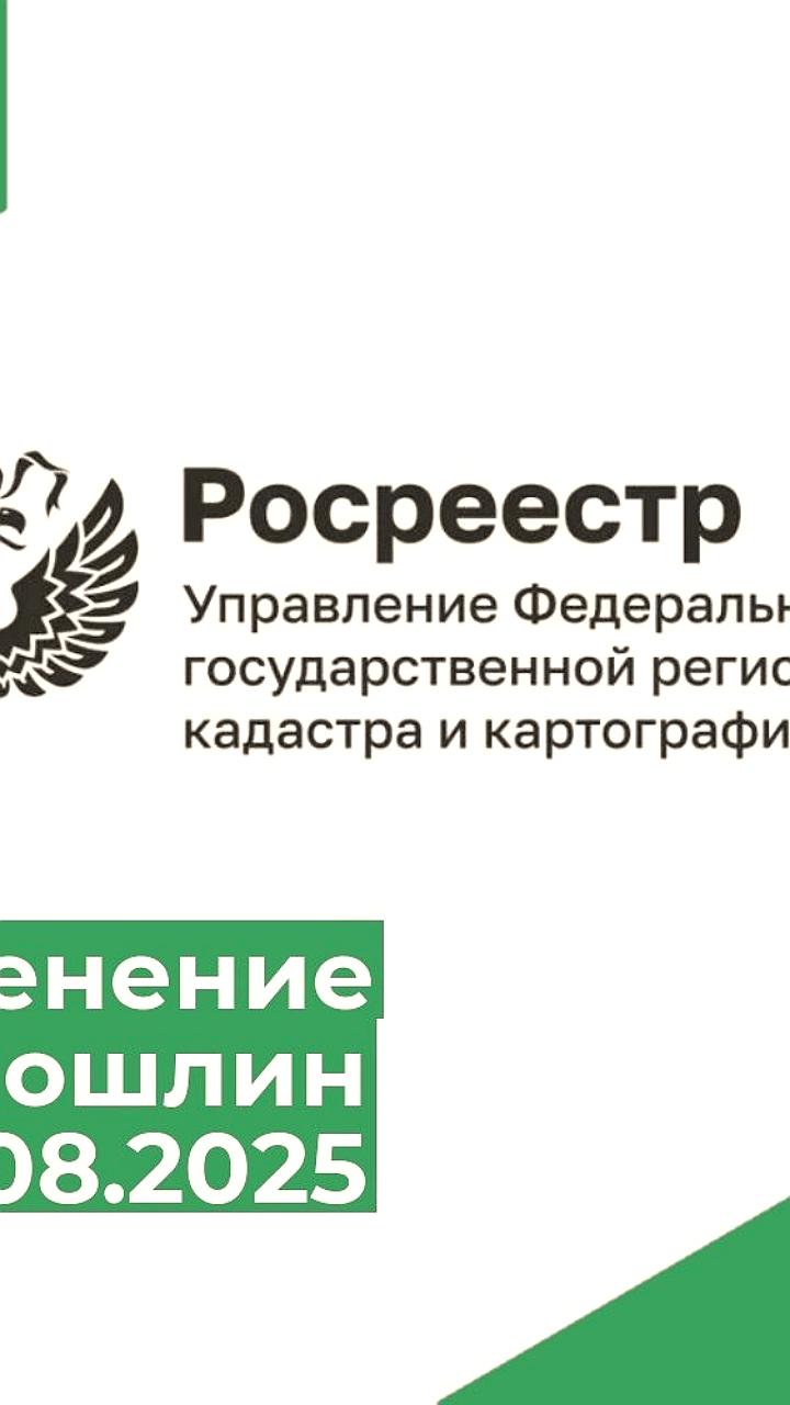 С 1 ноября 2025 года ФНС начнет автоматическое списание налоговых долгов с банковских карт