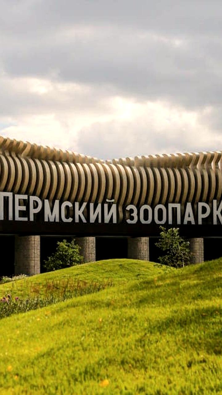 Пермский зоопарк завершил деятельность на старой площадке и переехал на новую территорию