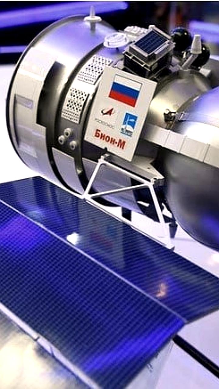 Ученые исследуют возможность инопланетного происхождения жизни на Земле