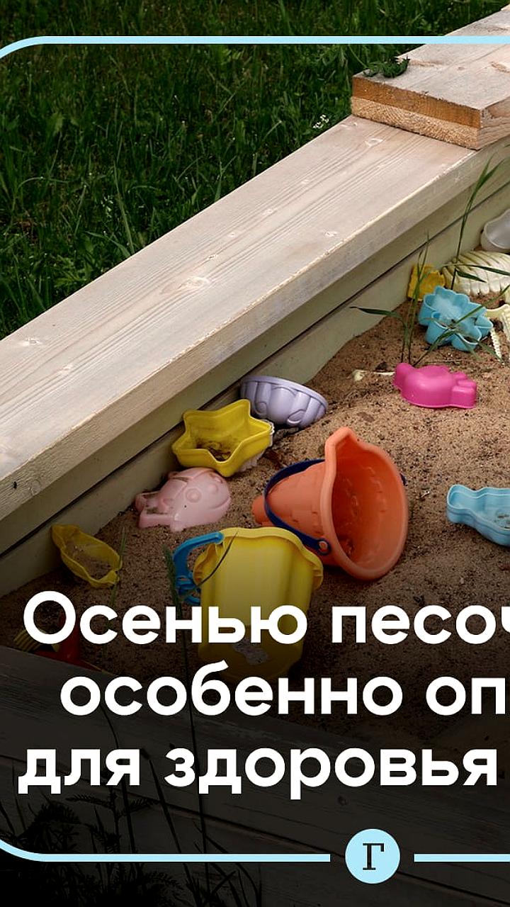 Осенние песочницы: угроза для здоровья детей из-за гельминтов