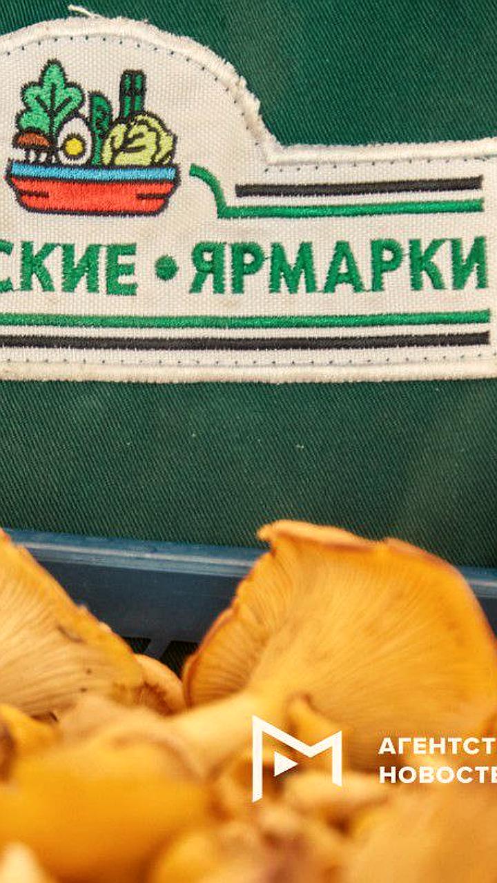 Сезон грибов: волгоградцы и москвичи наслаждаются свежими находками