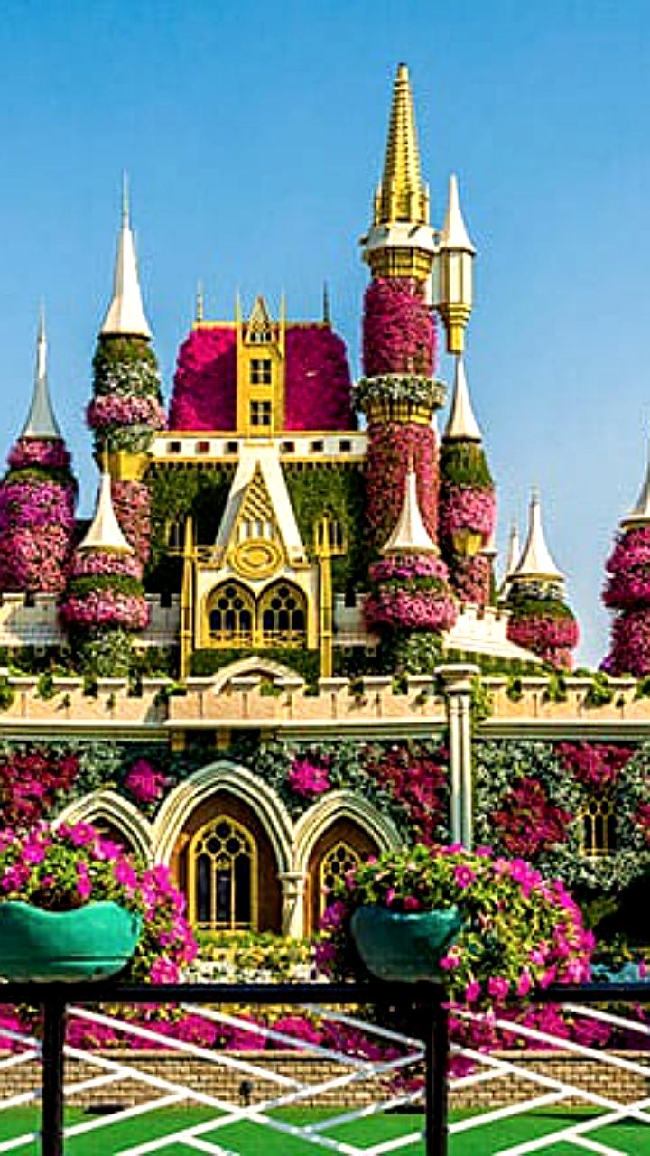 Dubai Miracle Garden открывает новый сезон 29 сентября