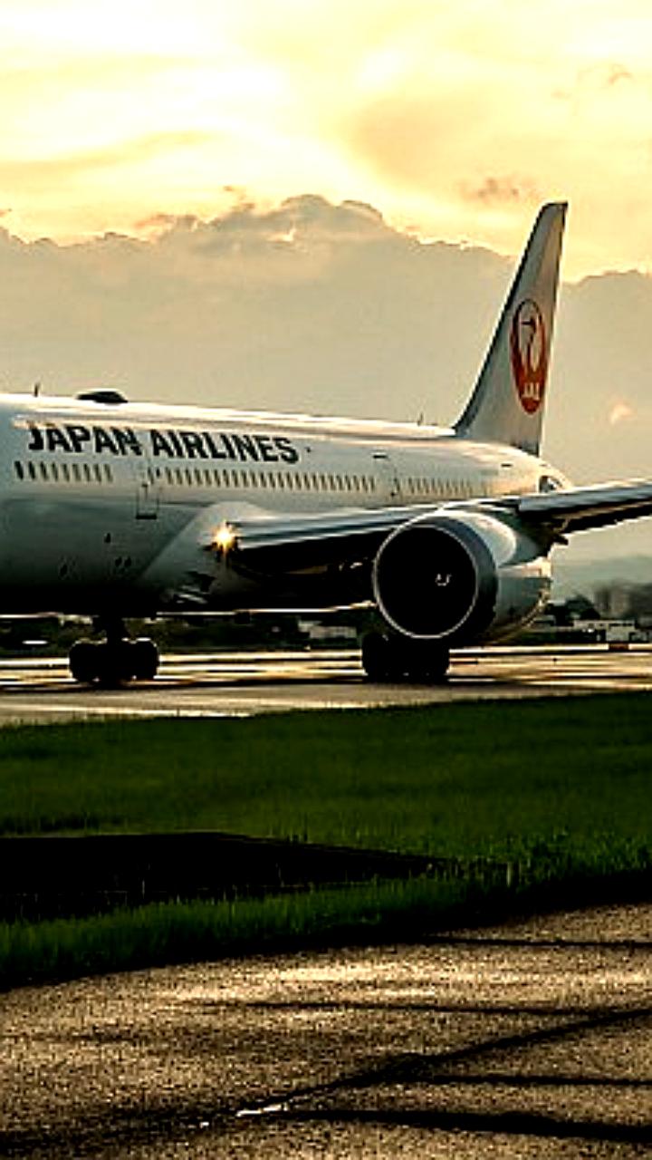 Japan Airlines требует от пилотов письменных гарантий отказа от алкоголя