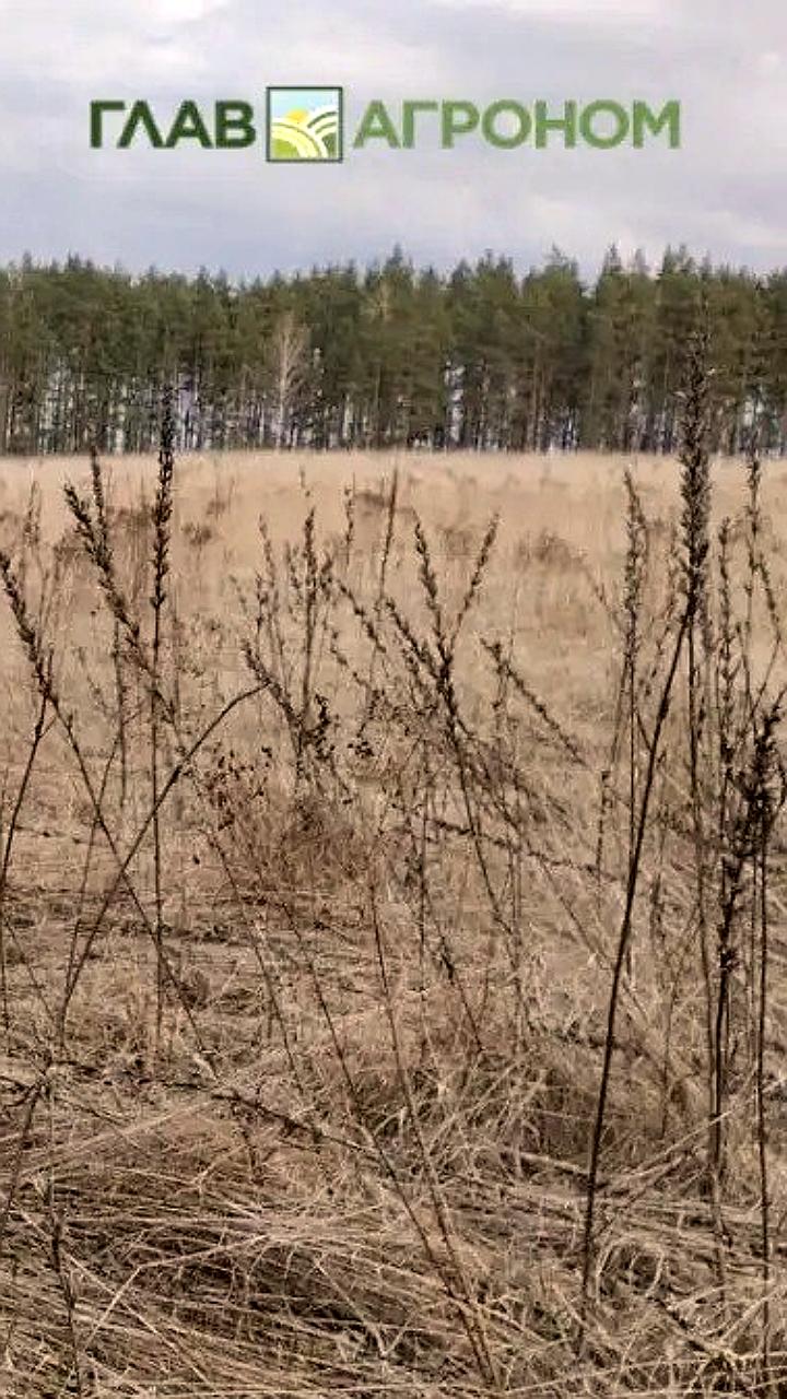 Ликвидация полигона пестицидов в Липецкой области продолжается