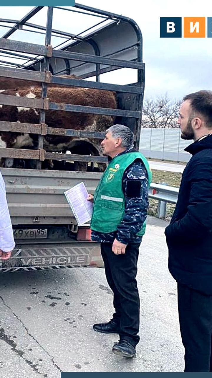 Планируется создание стационарных постов ветеринарного контроля на дорогах России