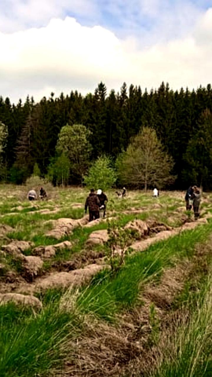 Калининградская область внедряет новые технологии для защиты лесов