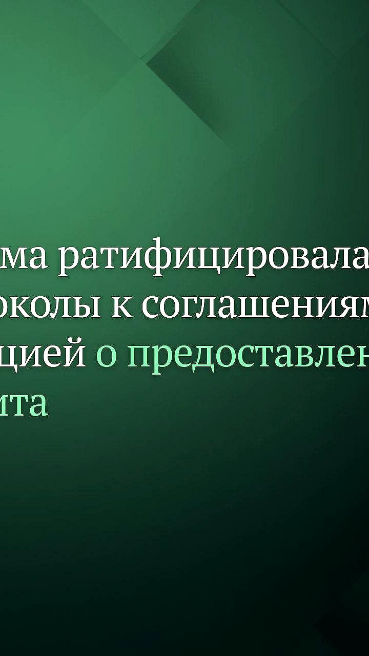Госдума ратифицировала экспортные кредиты с Турцией