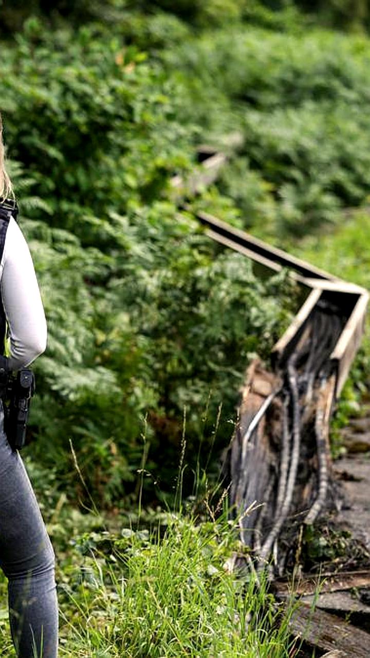 Диверсия на железной дороге в Германии: повреждены кабели между Кельном и Дюссельдорфом