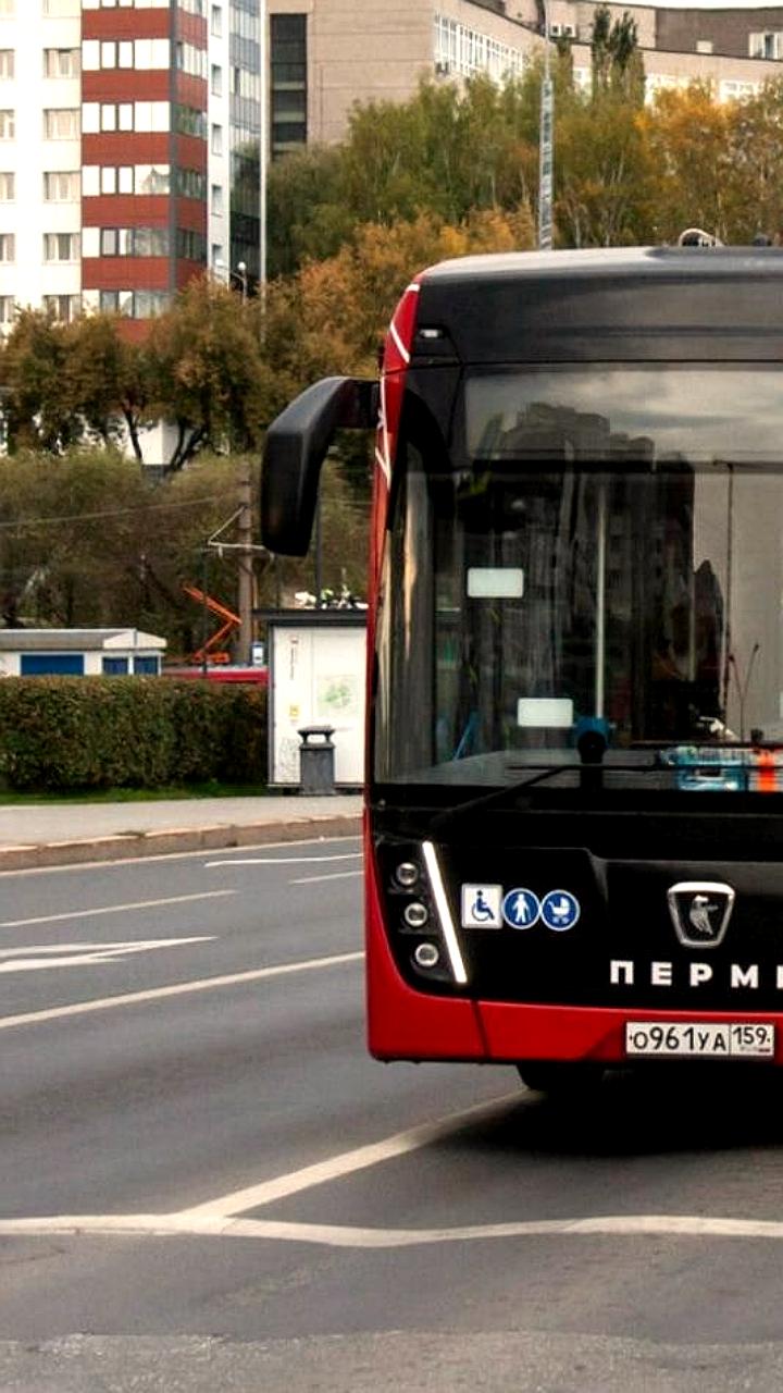 Проблемные автобусные маршруты Перми: данные о срывах рейсов