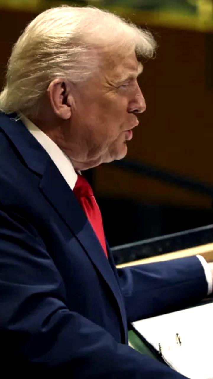 Трамп критикует зеленую энергетику и предупреждает о последствиях для Европы